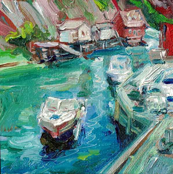 Irene Duma. The boats at Quidi Vidi