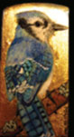k_van_nostrand_Blue-Jay--Li.jpg