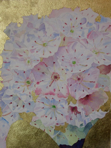 k_van_nostrand_Kalmia-Latif.jpg