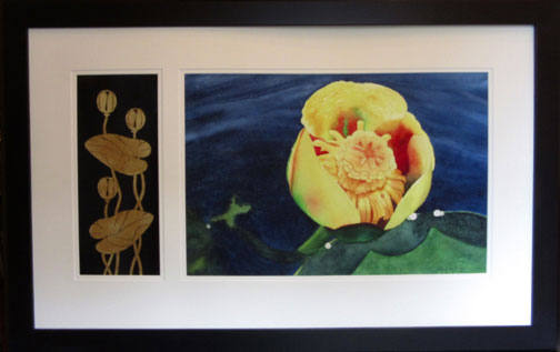 k_van_nostrand_Nuphar-L2.jpg